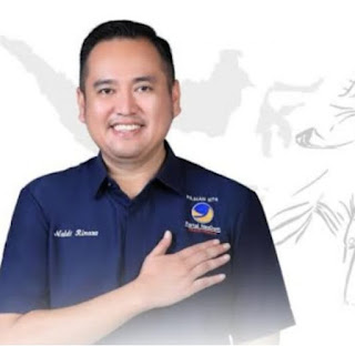 DPP Partai Nasdem Tunjuk Naldi Rinara Sebagai Wakil Ketua DPRD Lampung